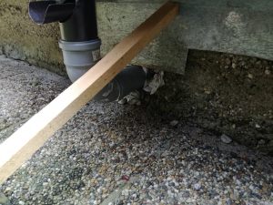 IMG_20180905_164404 (Large)